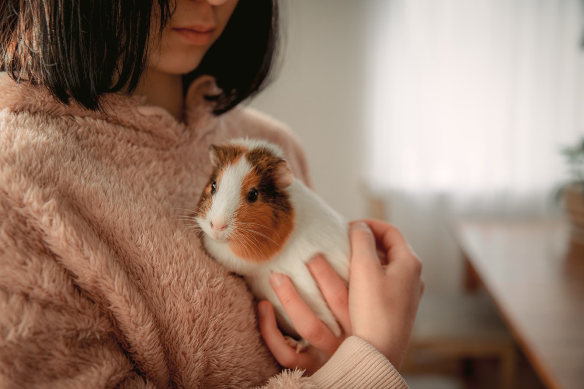 Comportements spécifiques révélant l'affection