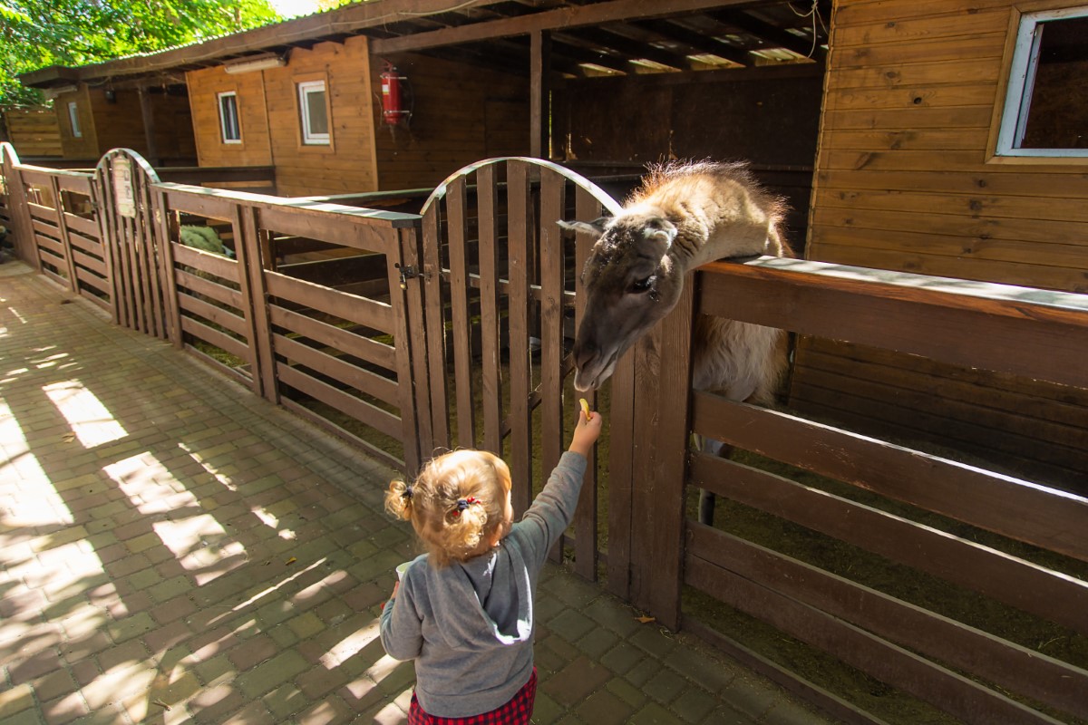 Écotourisme dans les Vosges