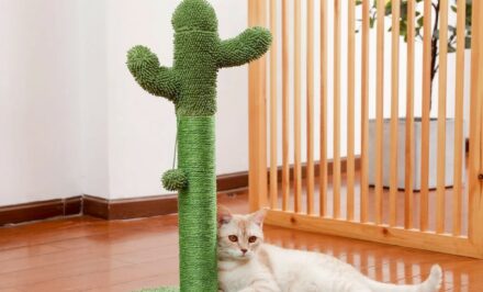 arbre à chat en forme de cactus original