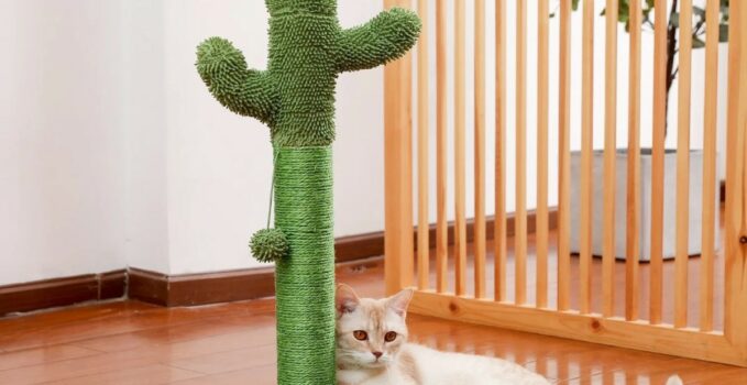 arbre à chat en forme de cactus original