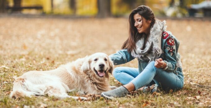 comptes Instagram pour les passionnés de canins