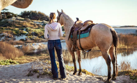 détenir cheval