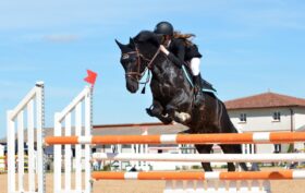 enseigner art équitation