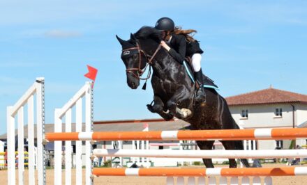 enseigner art équitation