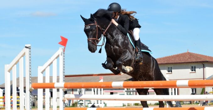 enseigner art équitation