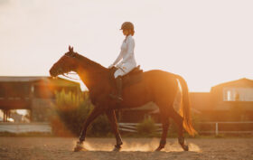 chevaux de course