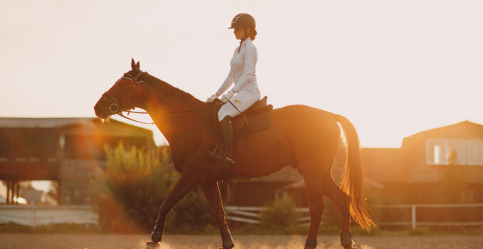 chevaux de course