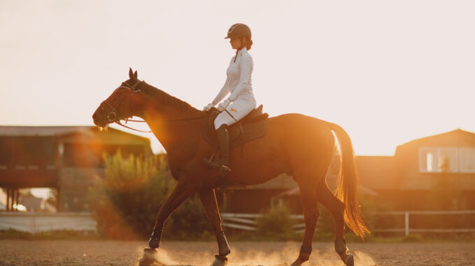 chevaux de course