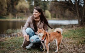 shiba inu en appartement