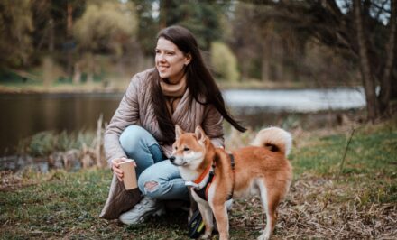 shiba inu en appartement